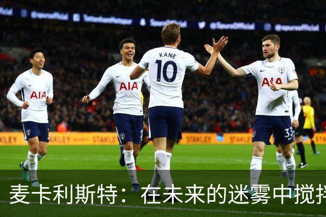 麦卡利斯特：在未来的迷雾中搅拌可能性之汤